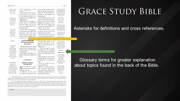 Slide3