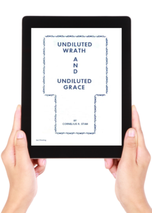 eBook: Undiluted Wrath and Undiluted Grace